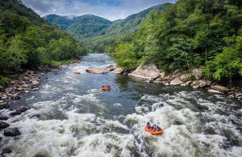 PlayDeck Cabin New River Gorge and Summersville Lake - Foto 30