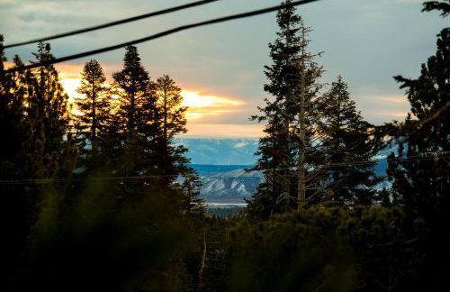 The Mammoth House - Photo 7