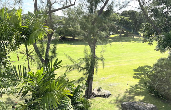 Rockley Orange Hill - by Zenbreak - Photo 20