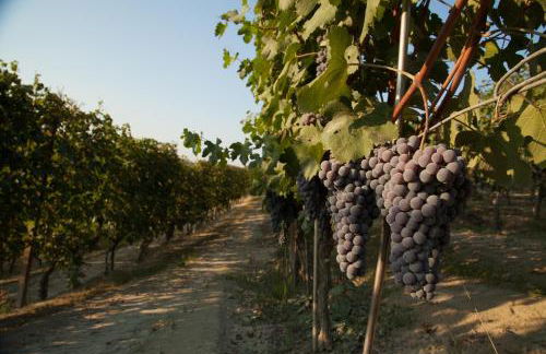 Villa Cornarea - Foto 86