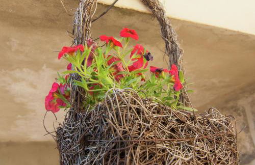 Cozy Garden Retreat Malemort - Foto 38