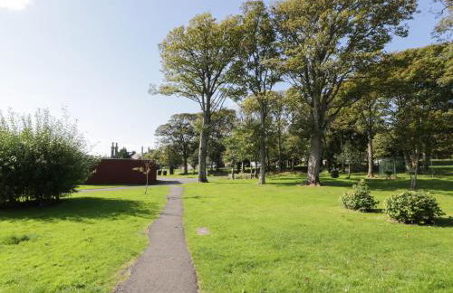 Silverbells - Photo 18