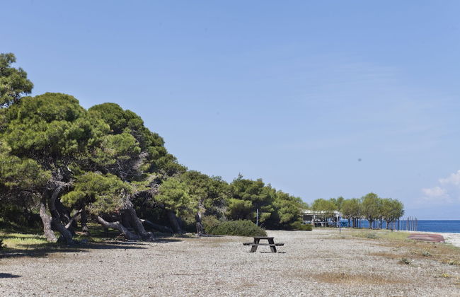 Daphne's Club Hotel Apartments - Foto 41