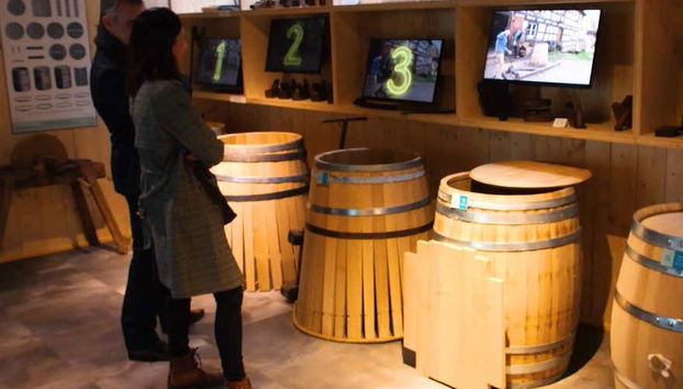 Alsace Wine Museum Tickets - Foto 3