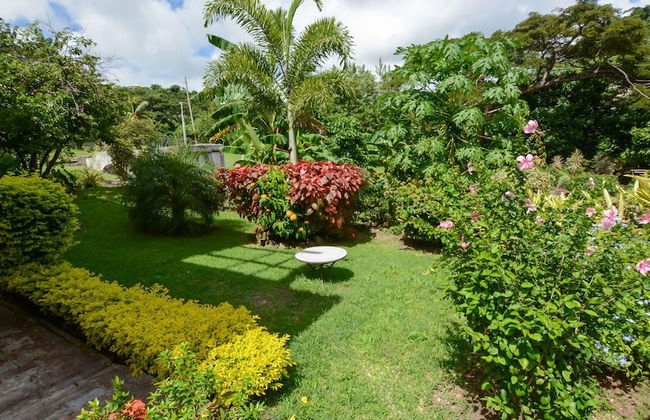 ClarenceVille Villa Apartments - Foto 40