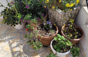 Apartments Milevčić - Foto 6