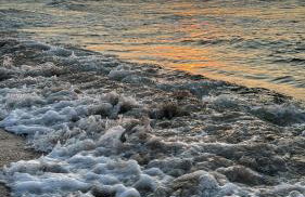 Słoneczny Horyzont - Foto 36