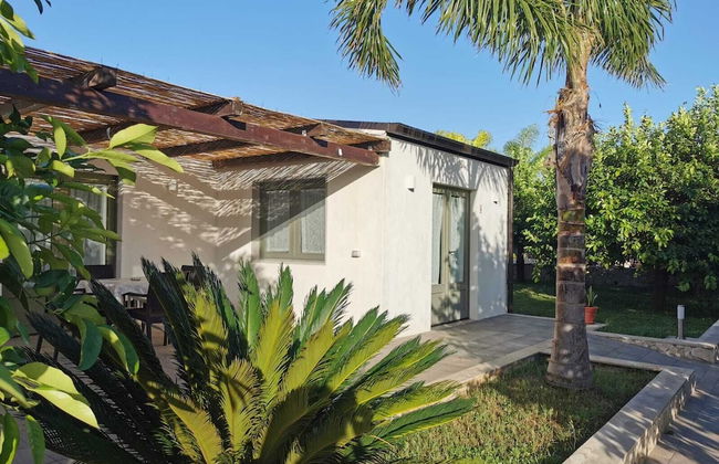 Agriturismo Terra dei Limoni - Foto 10