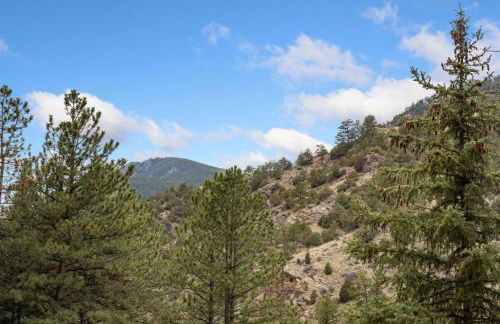 King of the Mountain. Private Hot Tub. Pets allowe - Foto 42