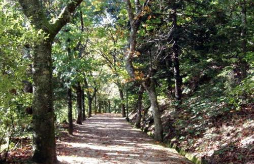 Pedacinho do Céu - Foto 8