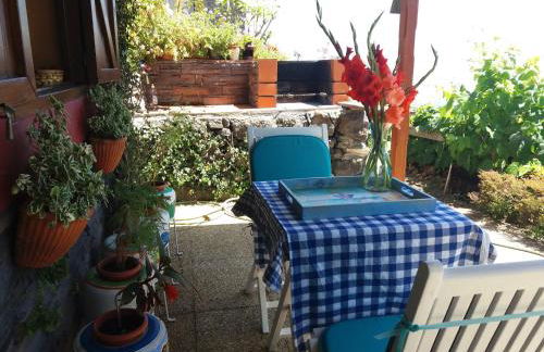 Casa d'Alegria Madeira Island - Foto 27