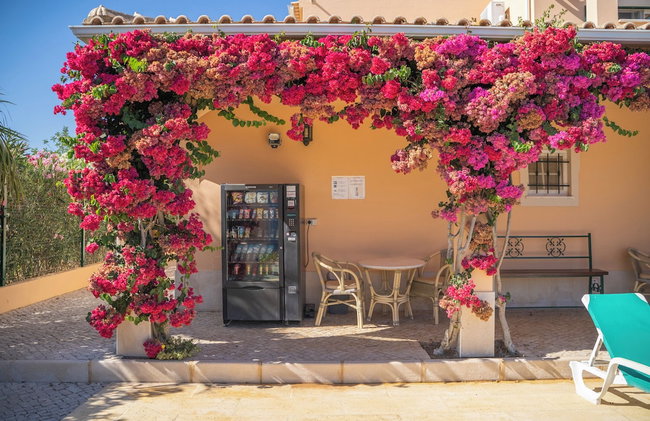 Monte dos Avós Apartamentos, Albufeira - Foto 72