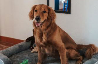 DONNA LAURA - Holiday Home - Foto 31