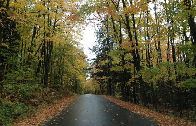 Beautiful Wisconsin Beach Retreat Lake Lucerne - Foto 73