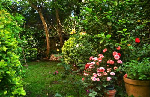 L'Antica Dimora - Foto 15