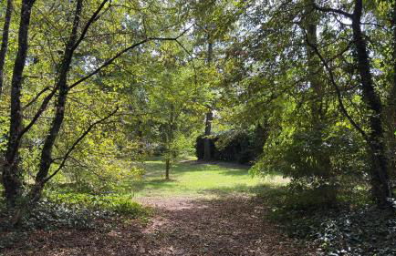 Le Petit Bois d'Amour - Foto 14