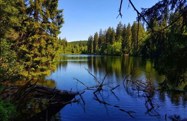 Holiday Apartment "beautiful Life" - Foto 20