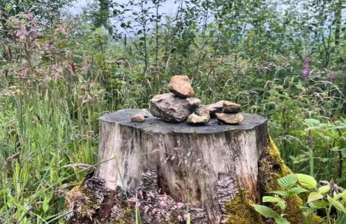 Nachhaltiges Ferienhaus in Steinheim - Foto 11