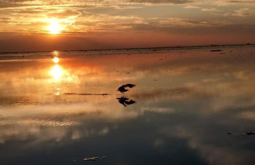 Ferienwohnung Sonja - Foto 34