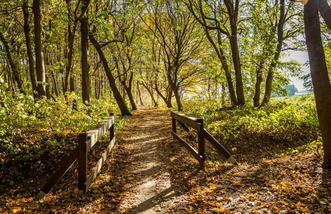 Baltic Sea Mermaid, Green Lagoon - Foto 17