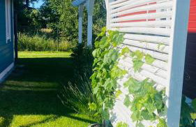 Słoneczny Zakątek Słajszewo - Foto 29