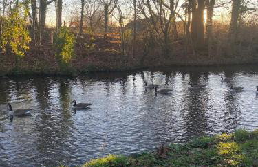 The Stable in Stourton - Foto 21