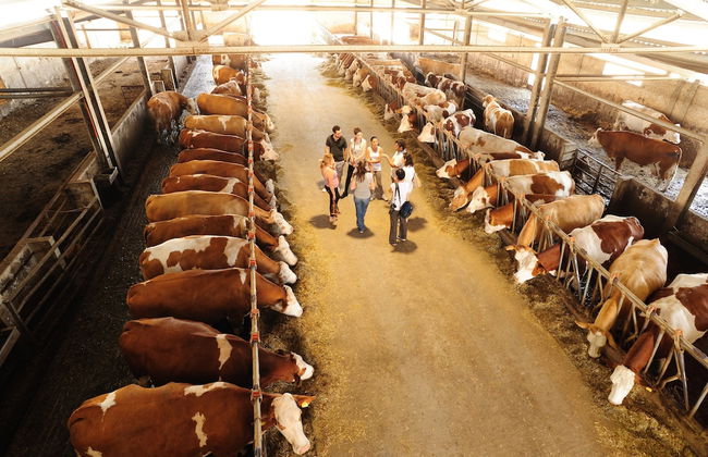 Agriturismo Villa Dafne - Foto 45