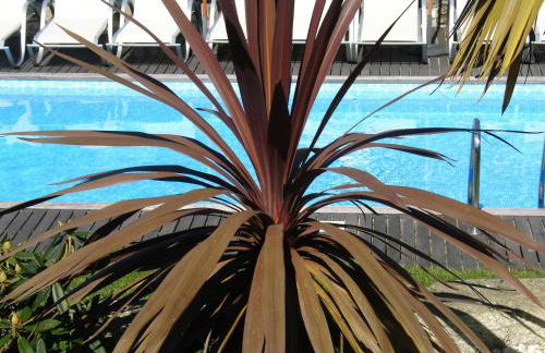 Casa D' Joao Enes - Afife Residence - Foto 54