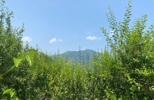 Cicero’s - Intero alloggio - Foto 44