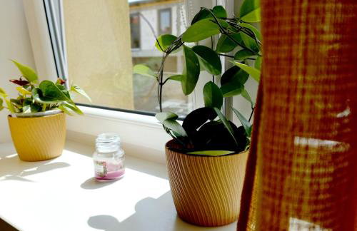 Centrum Noclegi Wągrowiec Kolejowa 15 - Foto 9