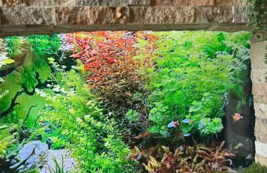 Charming, Restful Getaway - Foto 26