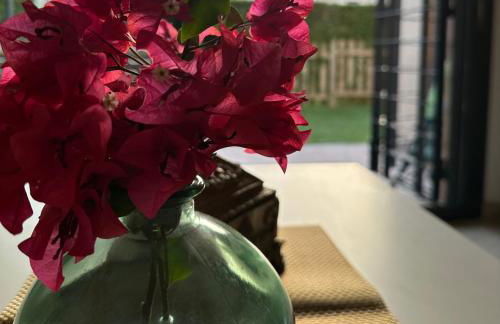 Costa Ballena Mar Abierto - Foto 13