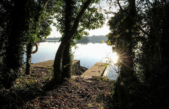 Shamrock Cottage - Photo 23