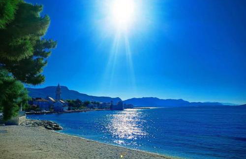 Apartman Tradicija - Foto 46