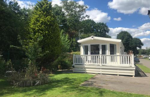 Poppy at Oakdene Forest Park - Foto 17