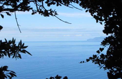 House with sea view in Santo Amaro, 212 sq m, terrace - Photo 37