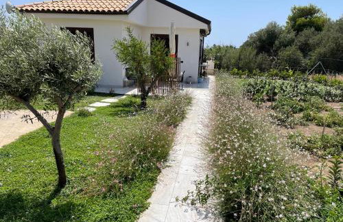 Nella valle dei templi e al mare - Foto 15
