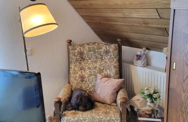 Gute Aussicht - Foto 12