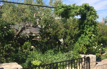 Faros oasis - Foto 27