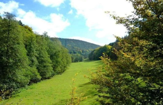 Garden Apartment in Huttenthal - Foto 37