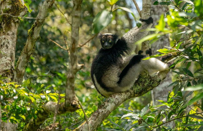 Tour privado de 9 días por Madagascar - Foto 6