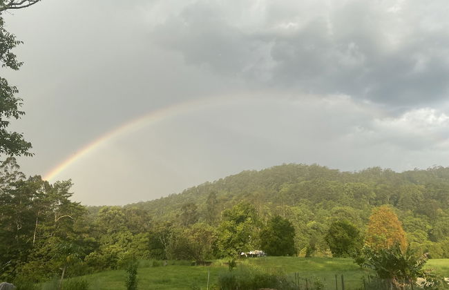 Nimbin Waterfall Retreat - Photo 42