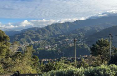 Refúgio das Camélias - Foto 23