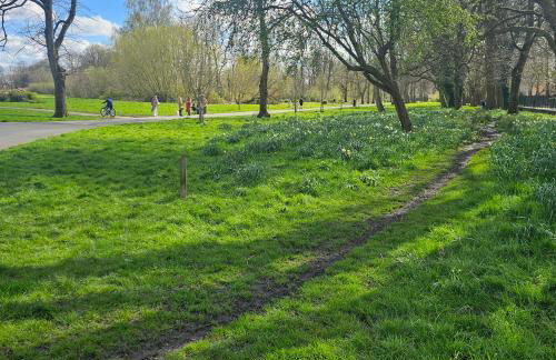 Alexandra Park - Foto 10