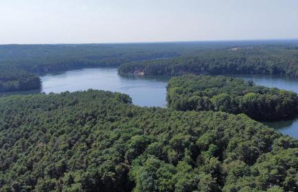 Całoroczny Domek Boho Lubniewice jezioro jacuzzi - Foto 43