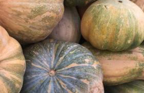 Casale Kintsugi - Foto 43