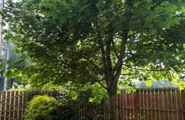 Wren Cottage - Foto 23