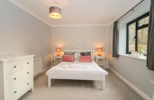 Castle View Annex - Photo 8