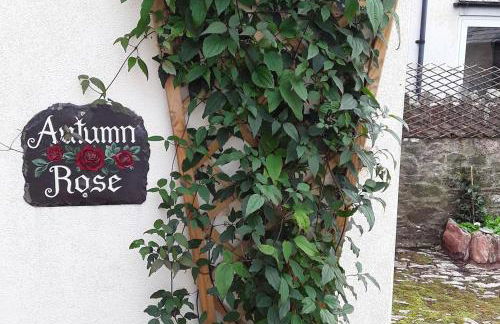 Quiet Cottage on the Rural Edge of Brixham - Foto 44