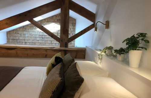 Castor Coquin Aubagne Cassis Aix en Provence - Foto 13